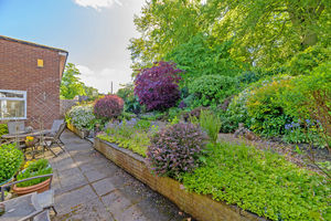 Garden- click for photo gallery